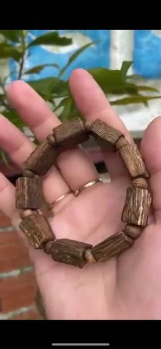 ベトナム産　沈香