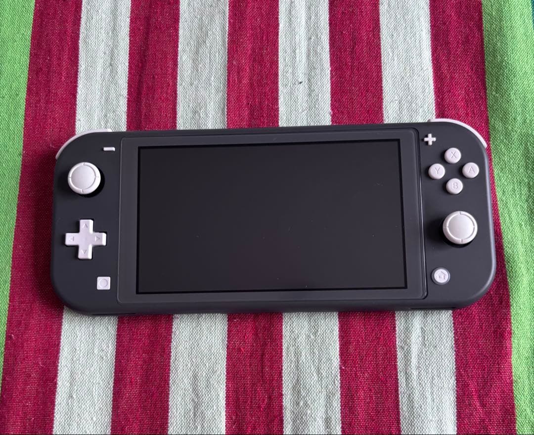 サ*ト様 Nintendo Switch Lite グレー 充電器, ケース付き