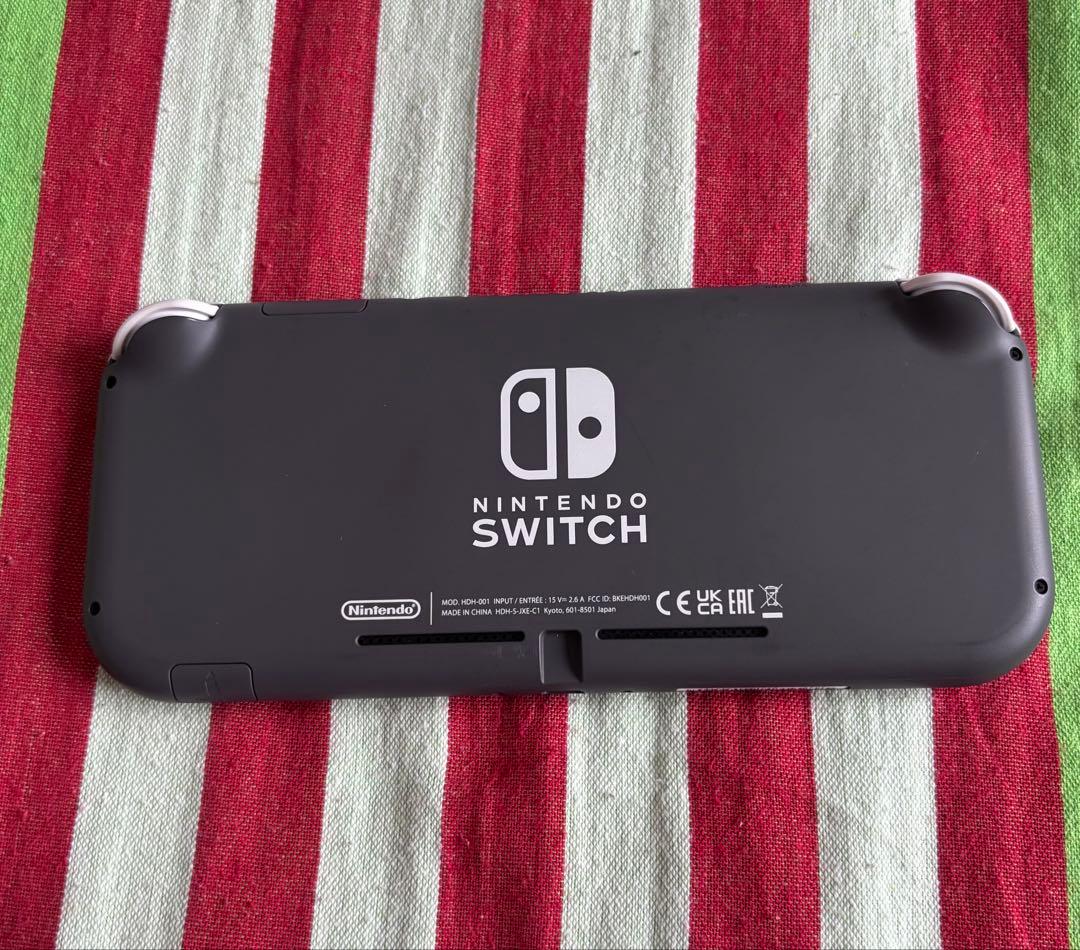 サ*ト様 Nintendo Switch Lite グレー 充電器, ケース付き