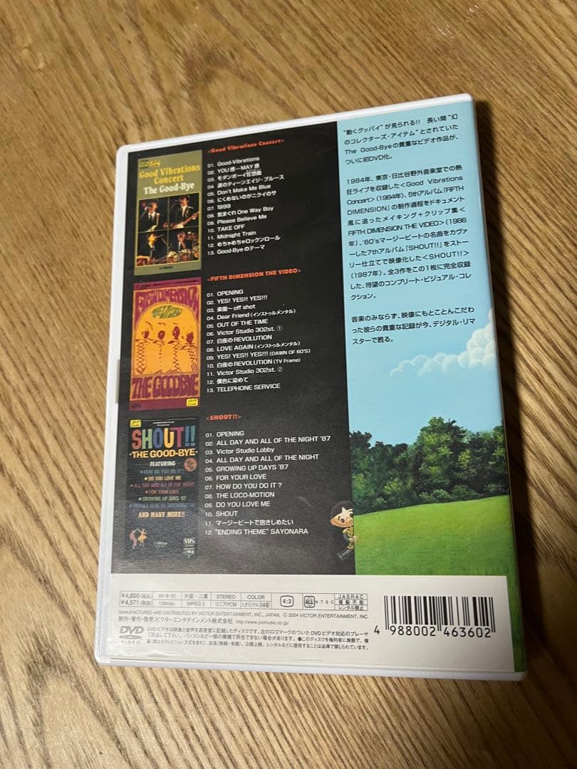 ザ・グッバイ　ビデオ　ザ・グッバイ　DVD ポストカード付き