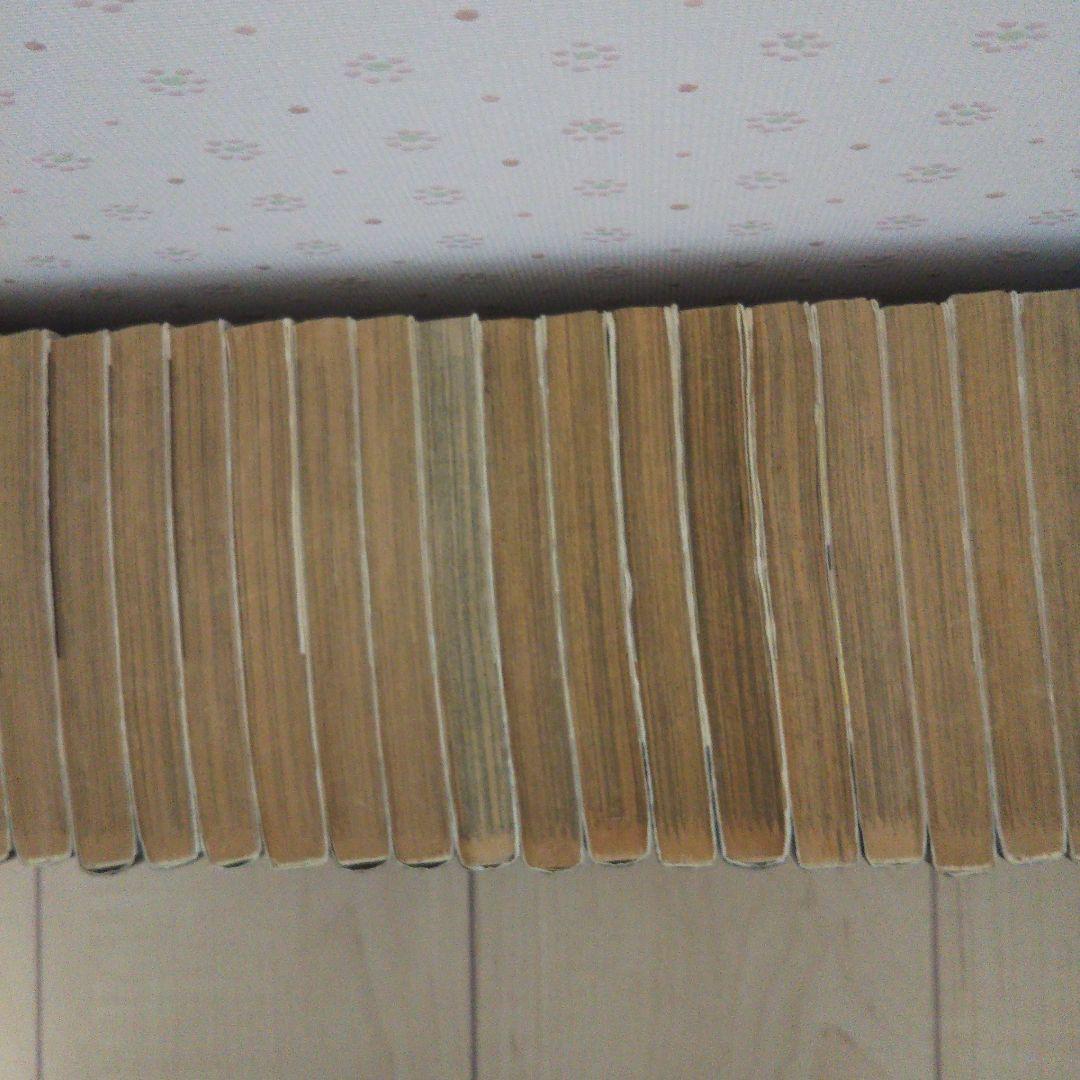 カメレオン全巻セット 加瀬あつし