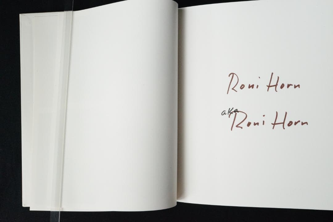 【Roni Horn aka Roni Horn】Roni Horn新品未読品