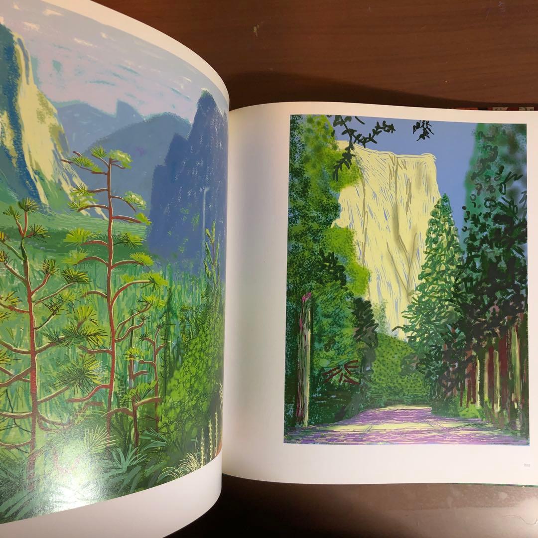 David Hockney: A Bigger Picture (洋書)
