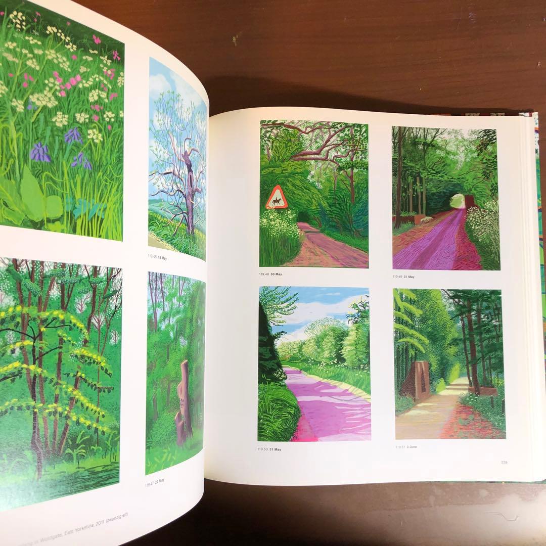 David Hockney: A Bigger Picture (洋書)