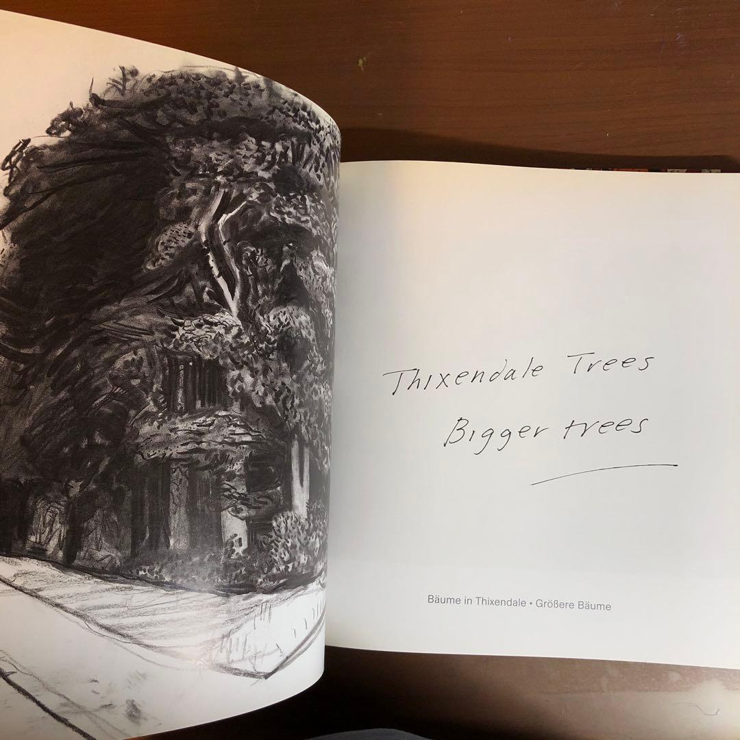 David Hockney: A Bigger Picture (洋書)