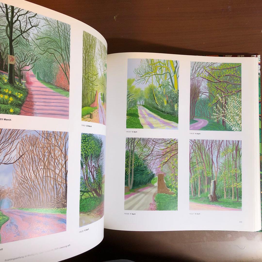 David Hockney: A Bigger Picture (洋書)