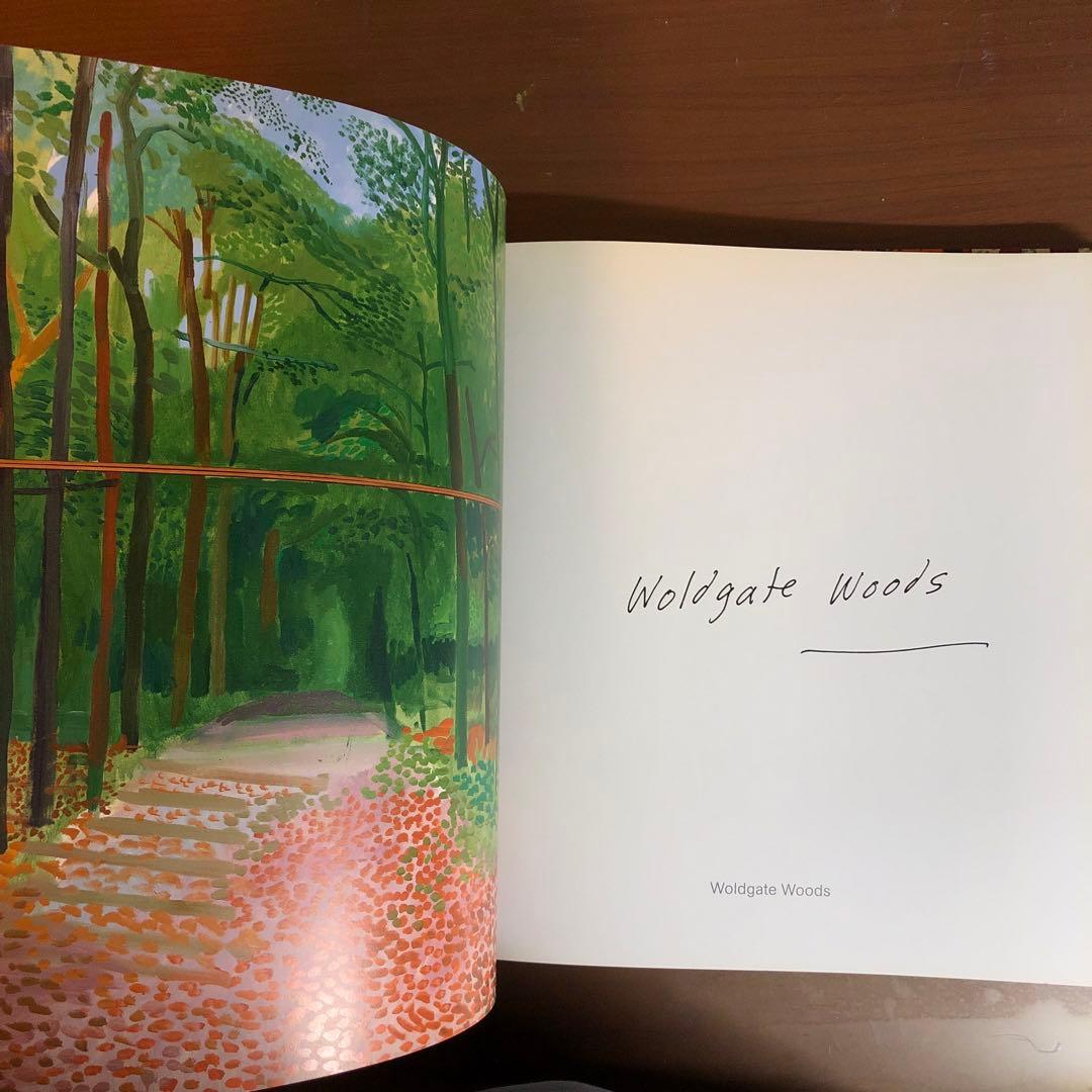 David Hockney: A Bigger Picture (洋書)