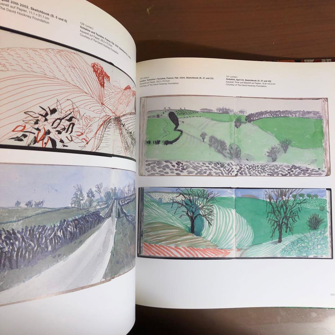 David Hockney: A Bigger Picture (洋書)