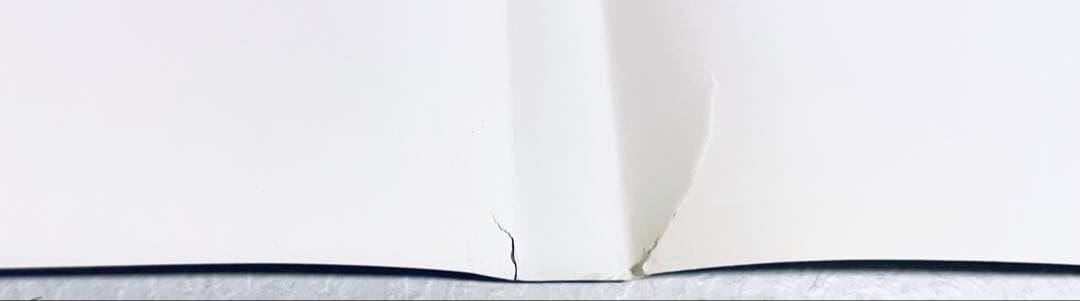 幼女戦記　 全６巻+劇場版　【全7巻】　レンタル版DVD 　全巻セット