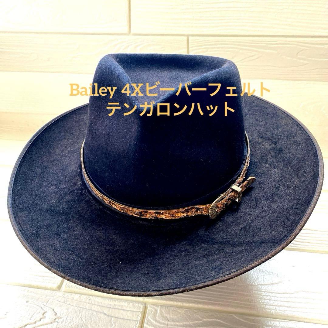 Bailey 4Xビーバーフェルト テンガロンハット ガラガラ蛇のバンド付