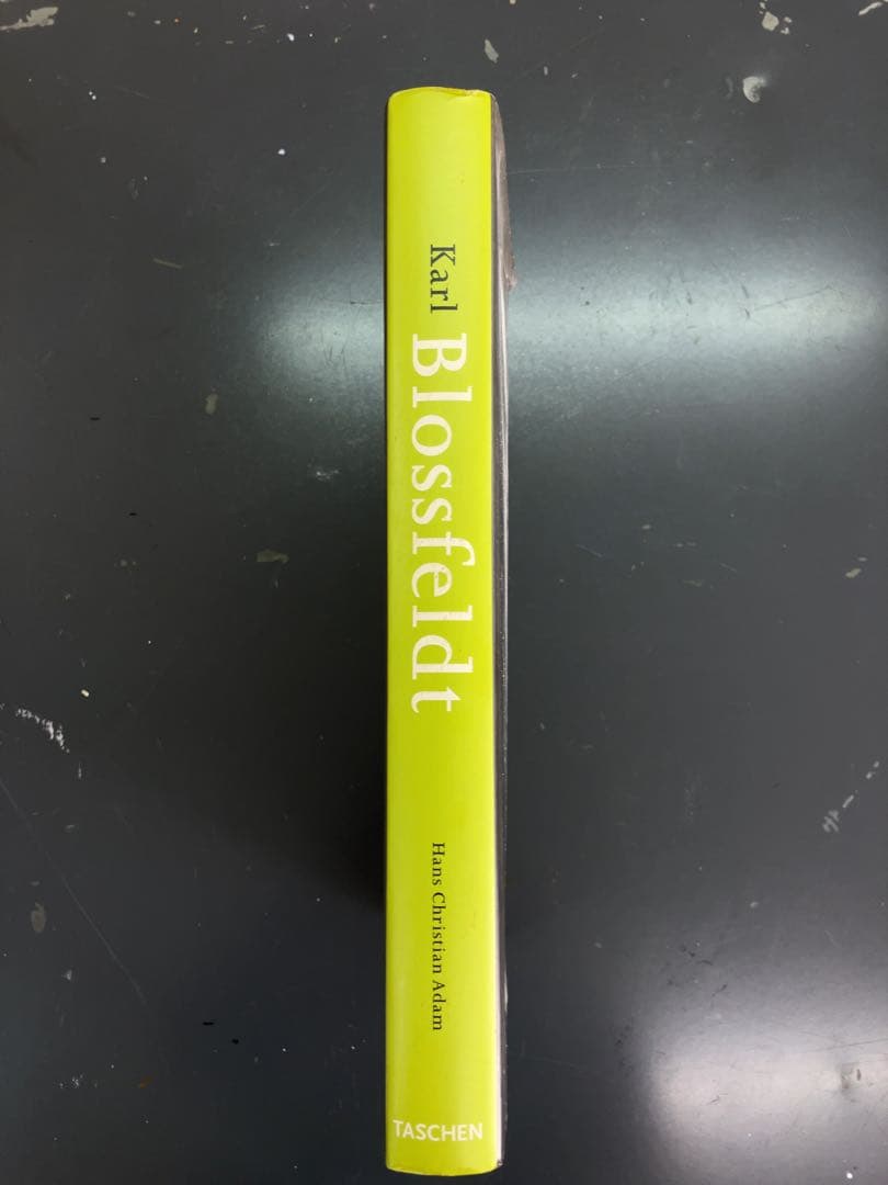 Karl Blossfeldt 植物写真集