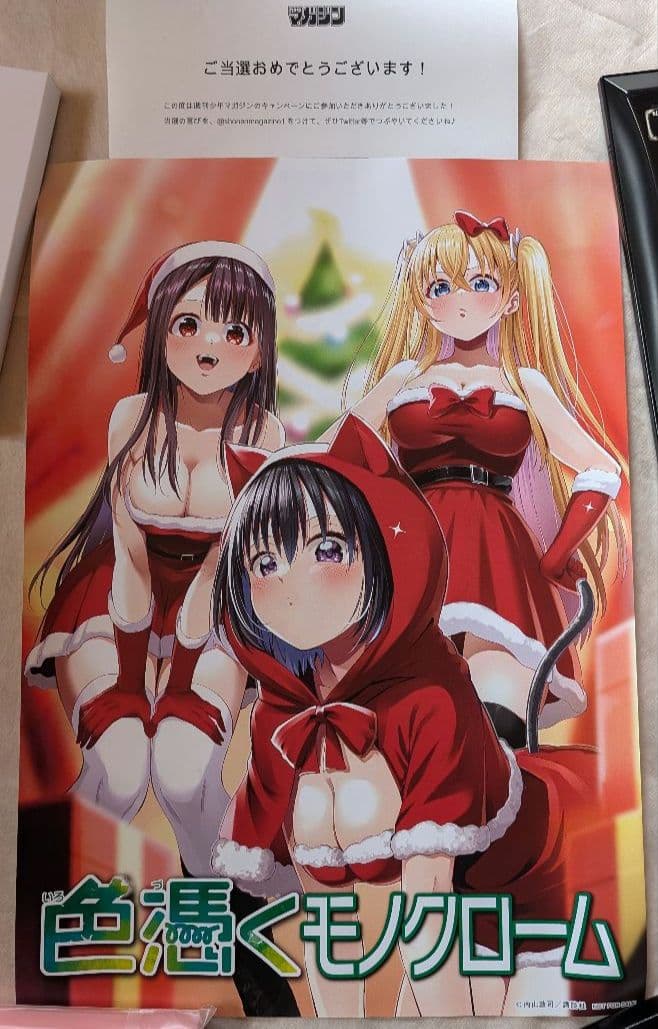 【３名枠非売品　新品未使用】色憑くモノクローム ポスター