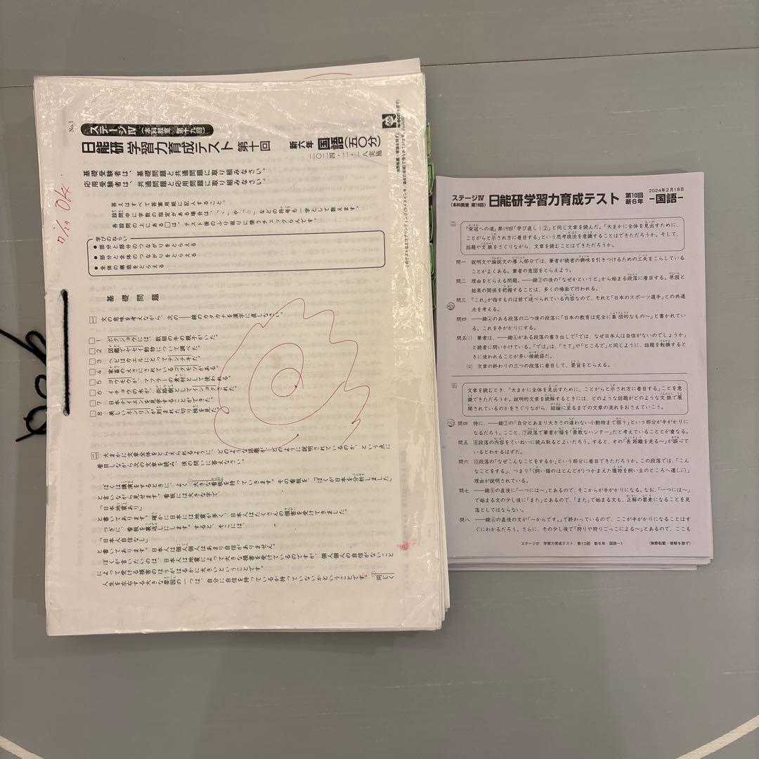 日能研　学習力育成テスト　6年前期　2024年度 国語　算数