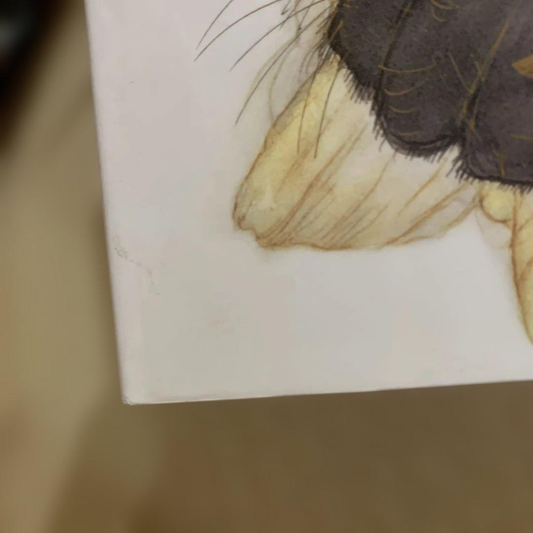 値下げ！新装版　少女季　天使のたまご　天野喜孝