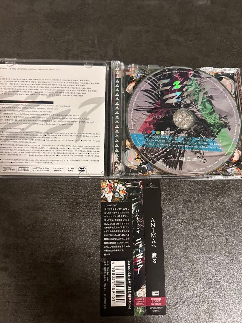 ハルカミライ CD/DVDセット