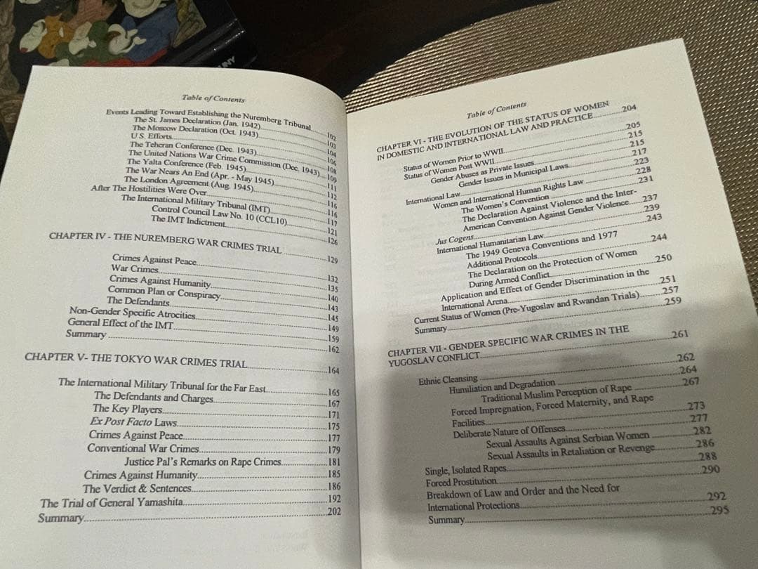 洋書 War Crimes Against Women Kelly Dawn Aski