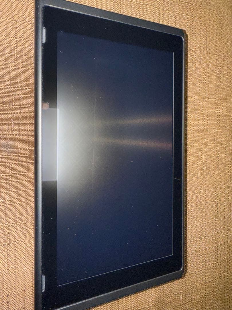 任天堂スイッチ Nintendo Switch 本体 プロコン付き