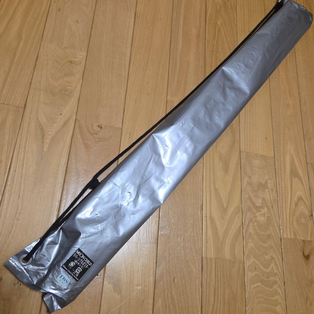 映画ムーンチャイルド　リバーシブルポスター　パンフレット　初回限定DVD　セット