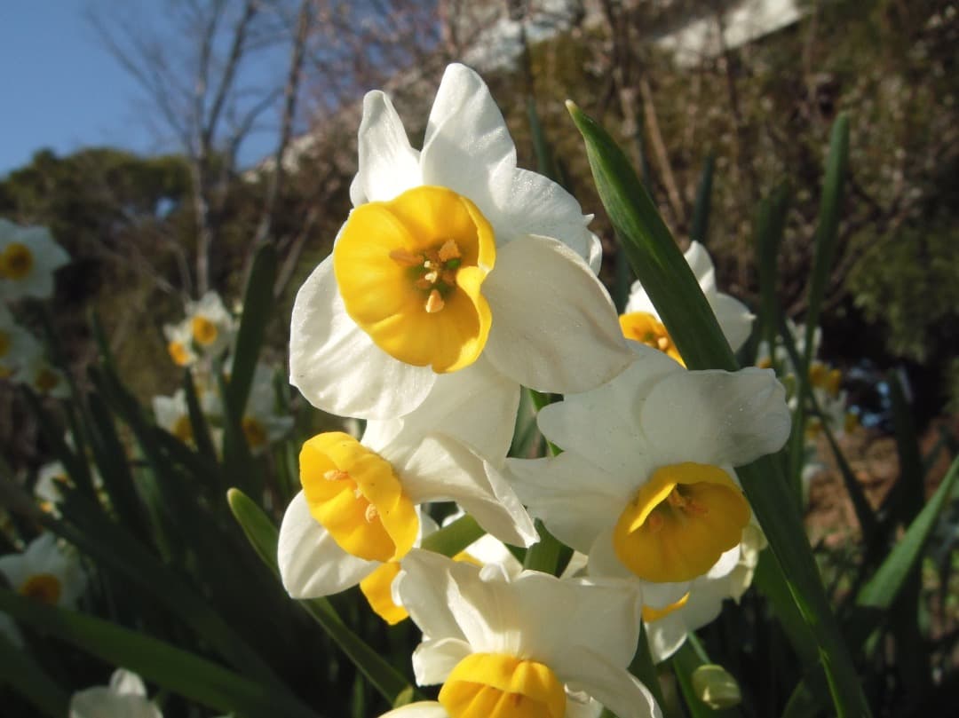 実写美⭕️良品【動作確認済】FUJIFILM FINEPIX Z300