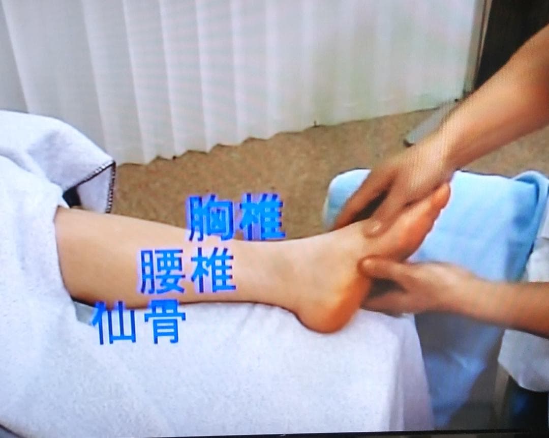 A3:足つぼ（DVD）学ぶ（足部反射療法3級・基礎編）プロの教材set