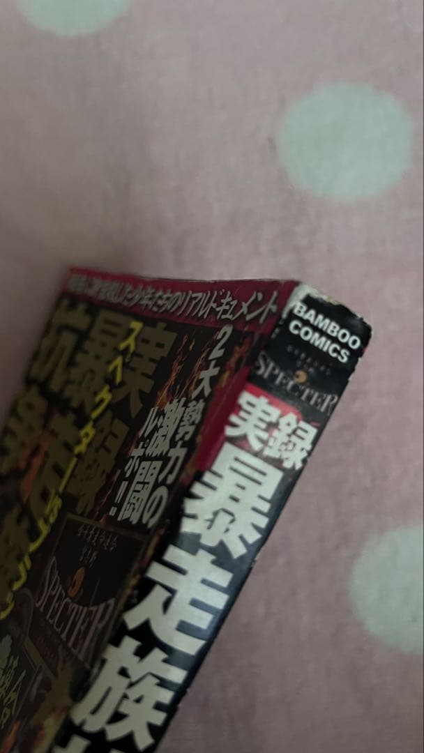 実録 暴走族抗争 スペクターvsブラックエンペラー