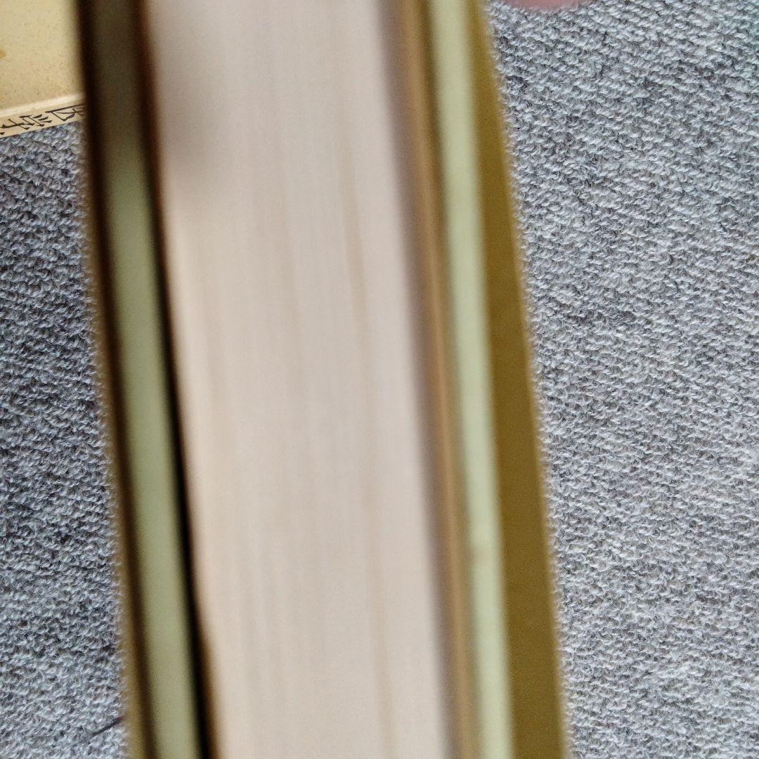 臨床東洋医学原論 経別 経筋 奇経療法 人江正著 医道の日本社