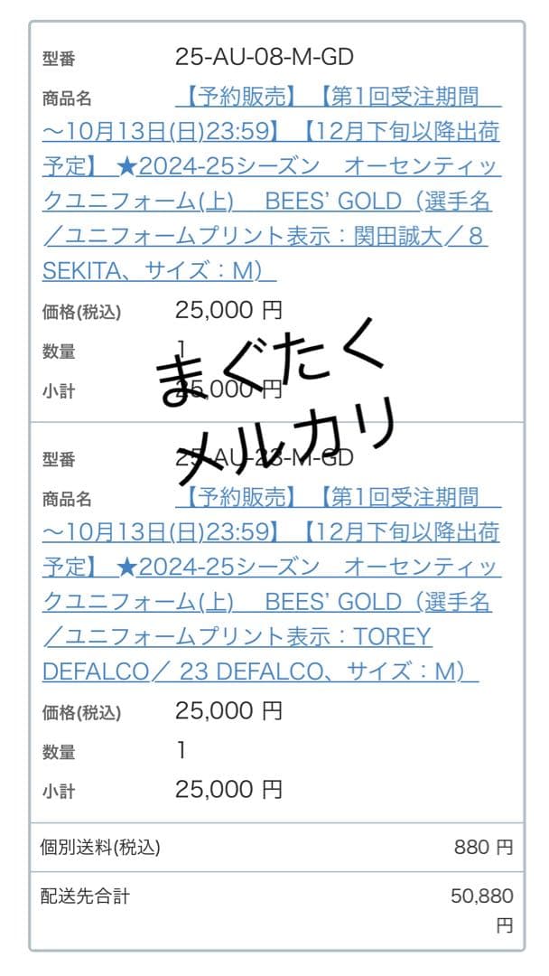 ジェイテクト Stings愛知 デファルコ　オーセンティック ユニフォーム