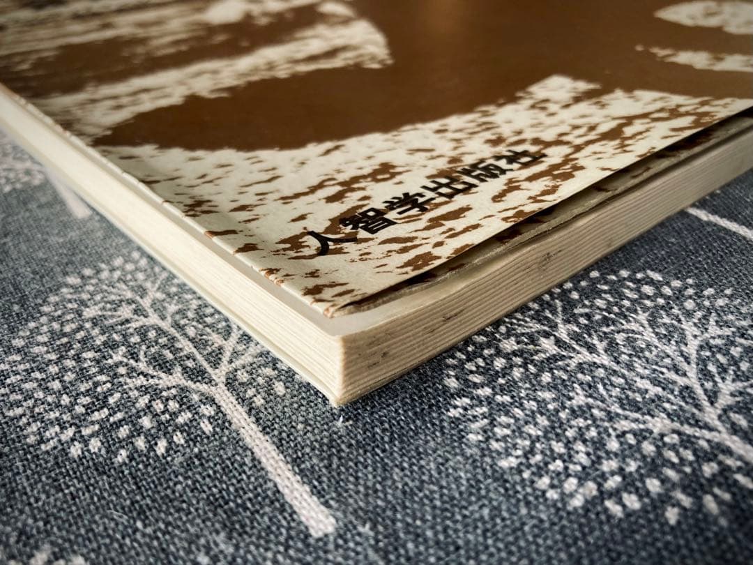 ヨーゼフ・ボイスの社会彫刻