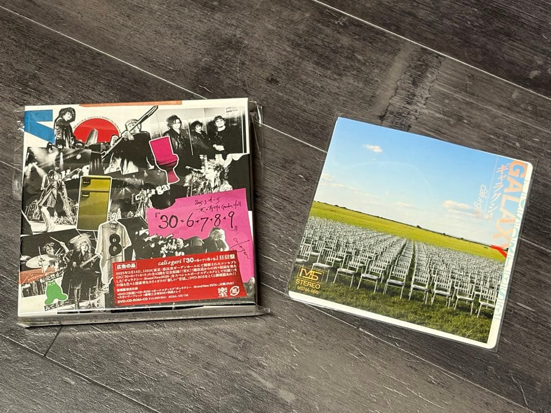 cali≠gariカリガリの仕事2025「30＝6＋7＋8＋9」(狂信盤)