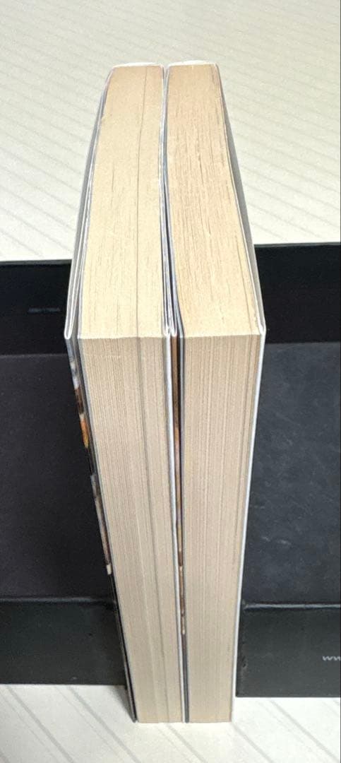 獣人探偵局ノハール（上下）【初版】　Ｓ・アンドリュウ・スワン／著　電撃文庫