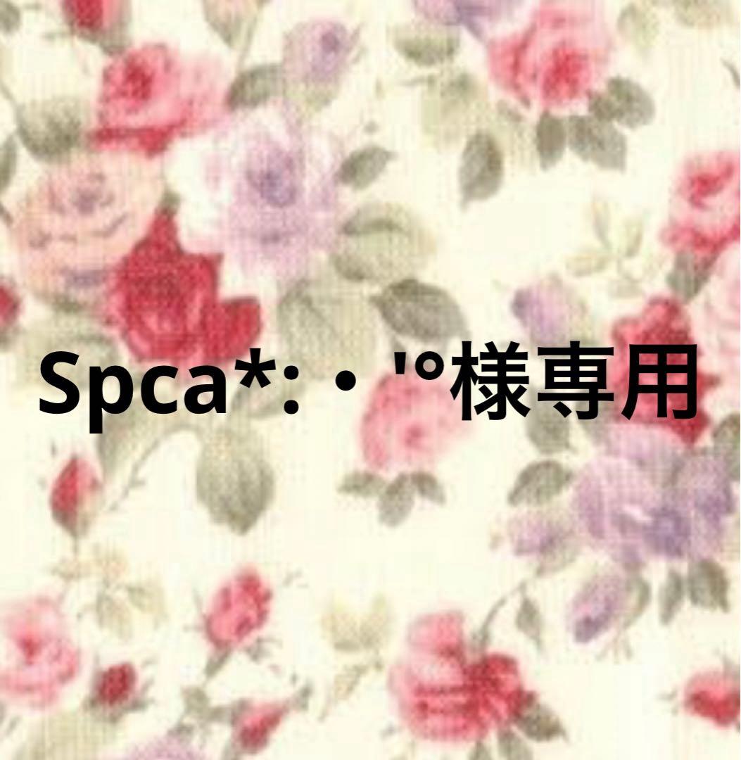Spca*:・'°☆品