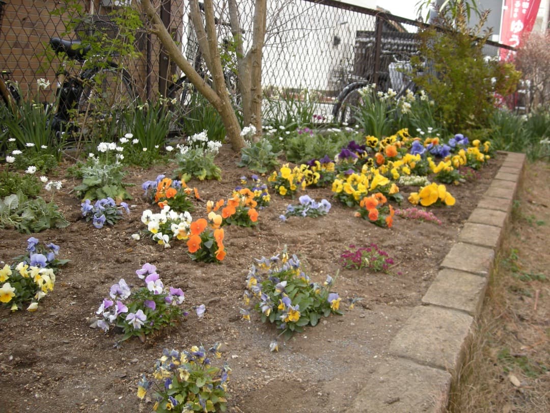 実写美⭕️良品【動作確認済】Nikon coolpix S510 ニコン デジカメ