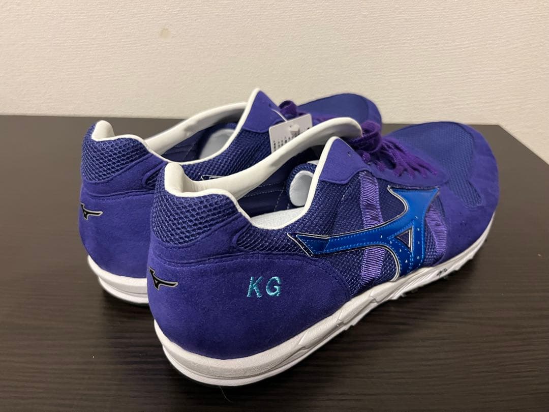 （値下げ可）未使用品　ミズノ　スペシャルオーダーランニングシューズ29cm