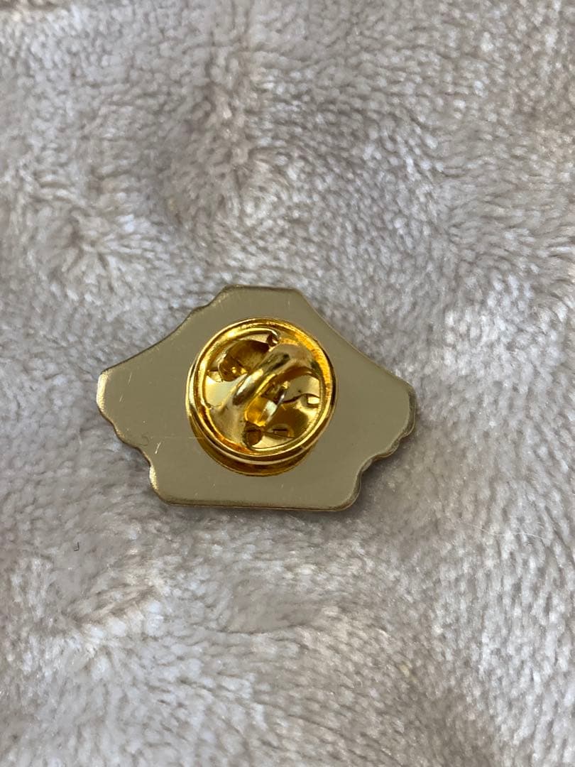 富士山登山ルート3776 世界文化遺産登録10周年　ピンバッジ