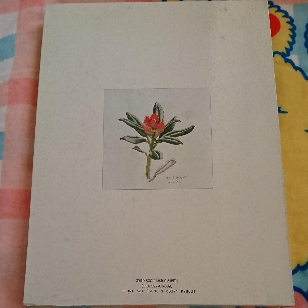 小磯良平 現代日本素材描全集 9