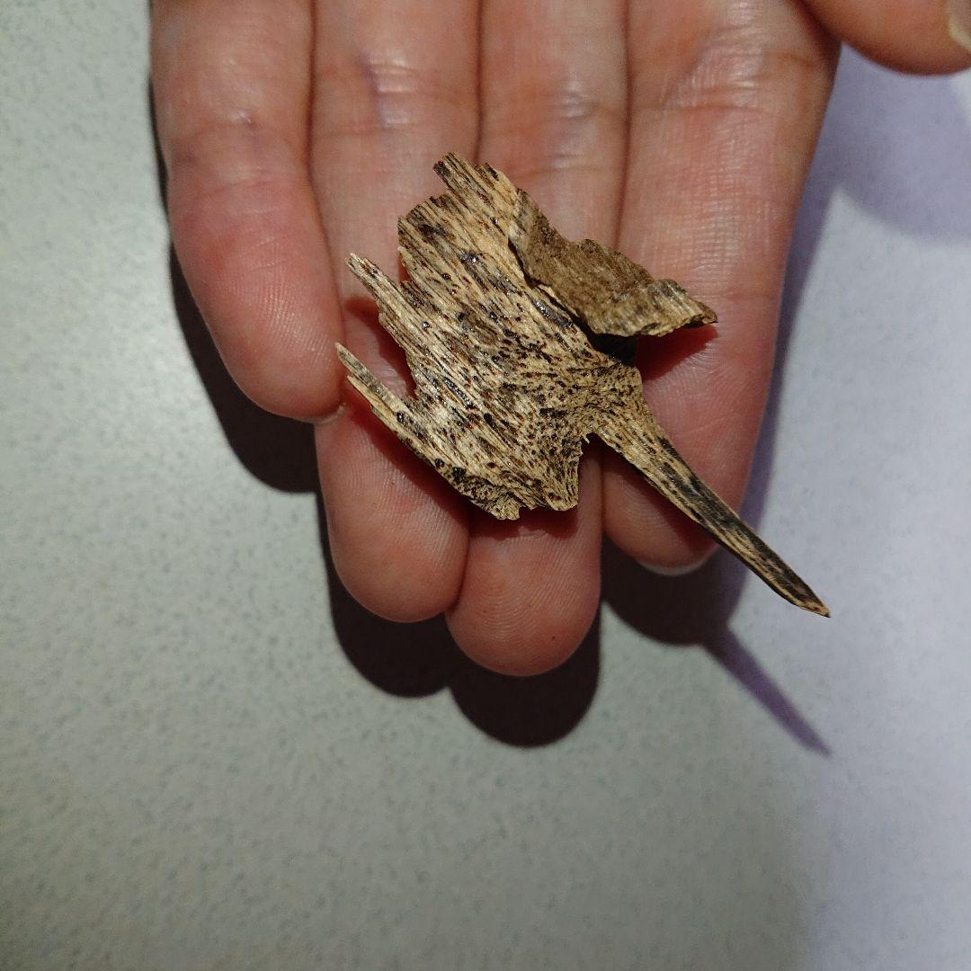 香木 沈香 伽羅 聞香◎品名極上カンボジア産奇形種