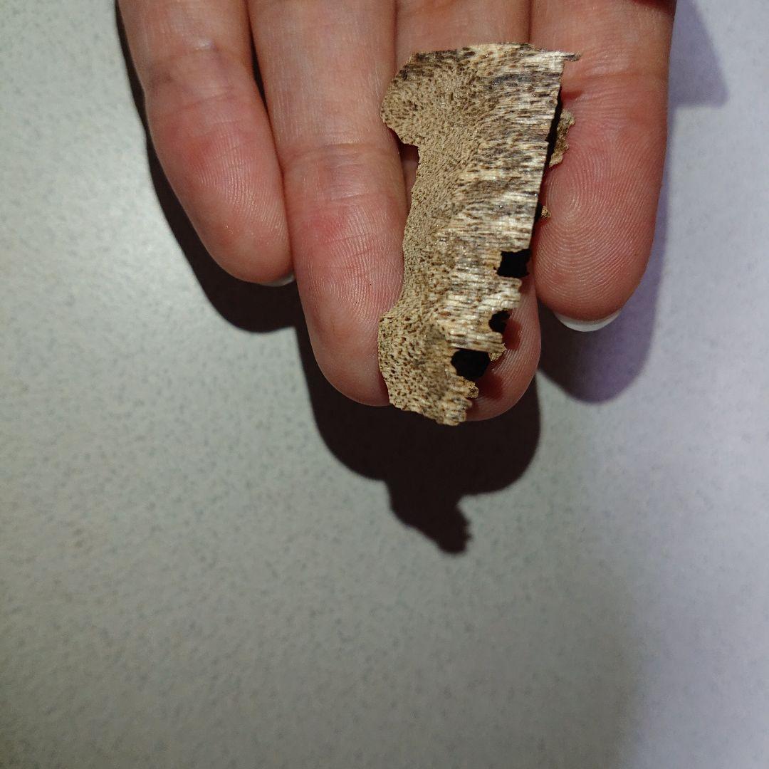 香木 沈香 伽羅 聞香◎品名極上カンボジア産奇形種