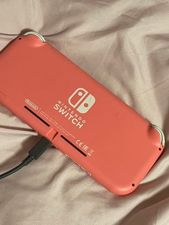 スイッチライト本体