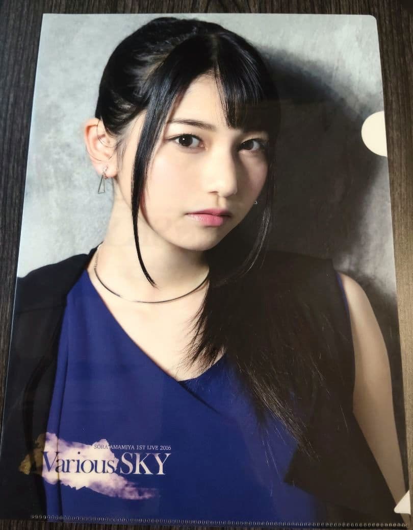 雨宮天 クリアファイル23枚セット