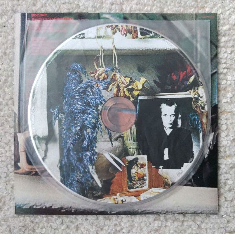 洋楽 Brian Eno Here Come The Warm Jets CD