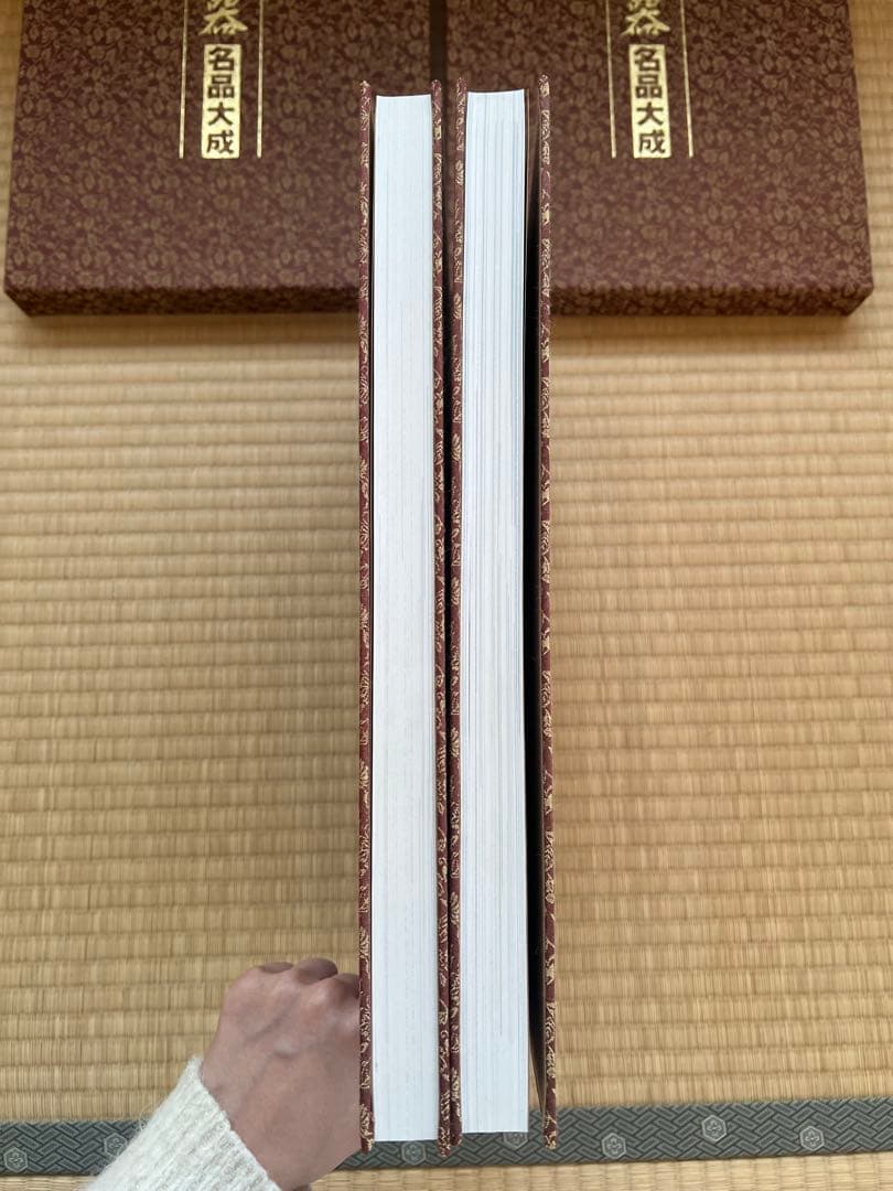 【美品・函付】美術盆器名品大成 中国編／日本編 全2冊｜大型本・盆栽資料