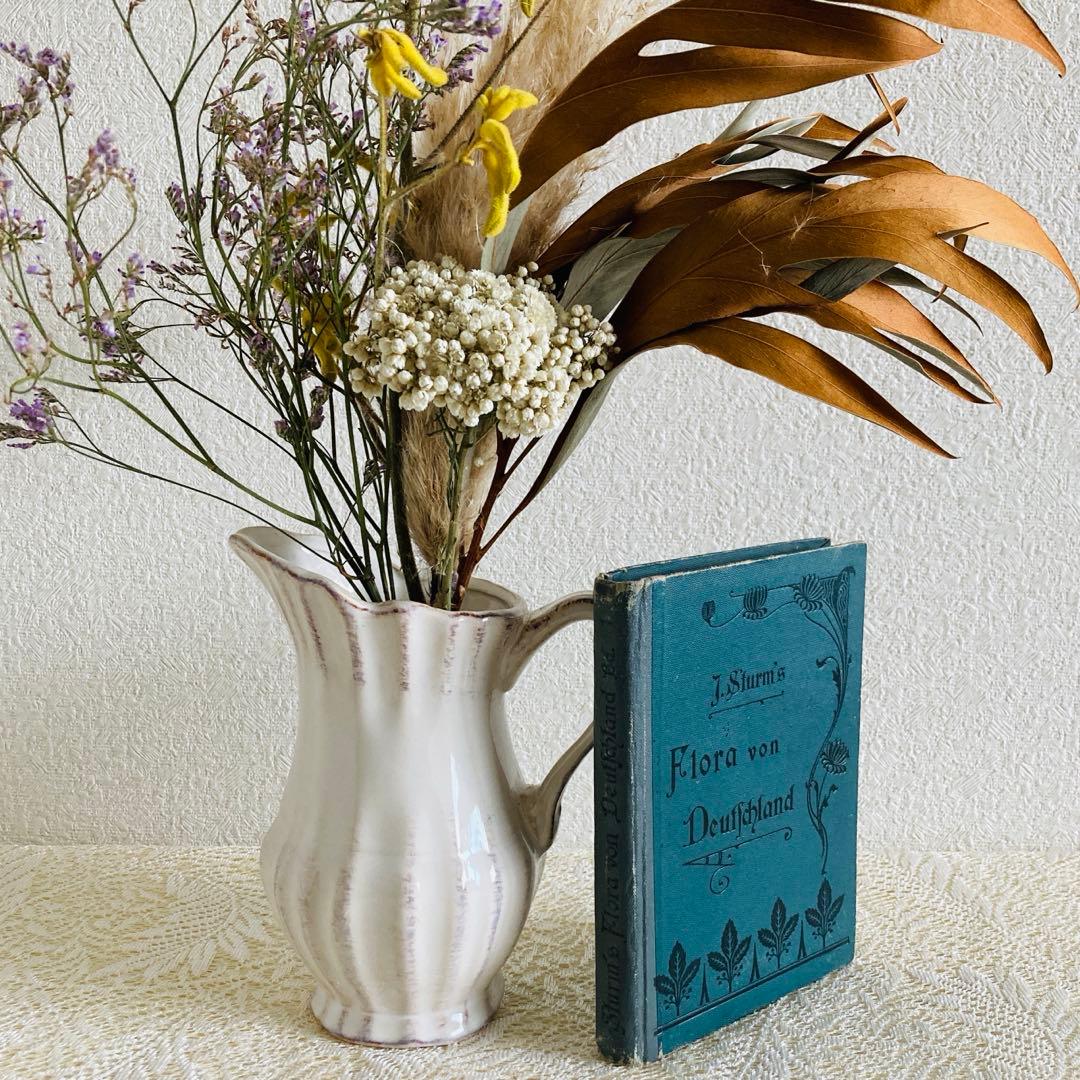 洋書　古書　ドイツのアンティーク植物図鑑　第1巻　精密で美しい植物画♡