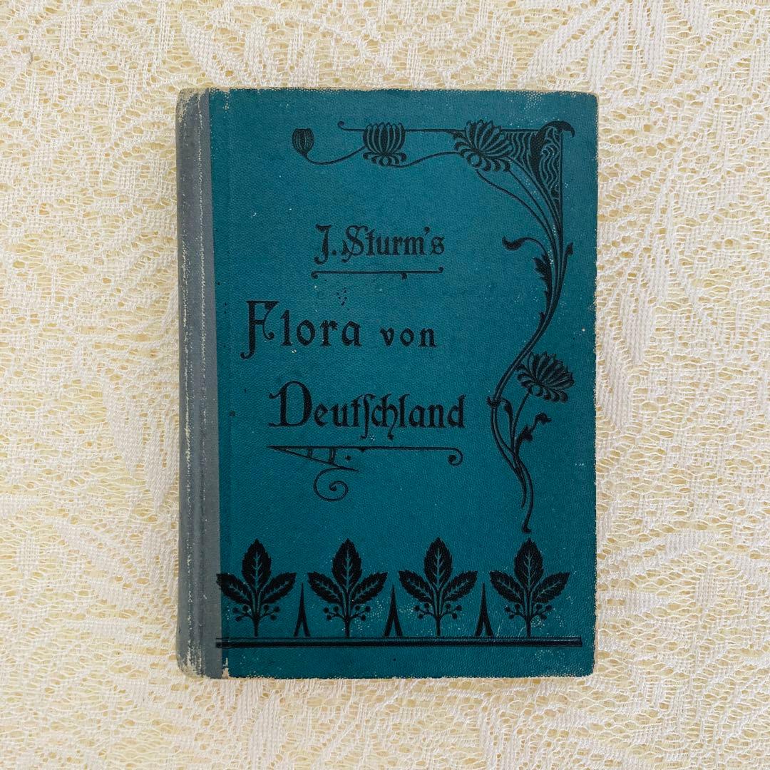 洋書　古書　ドイツのアンティーク植物図鑑　第1巻　精密で美しい植物画♡