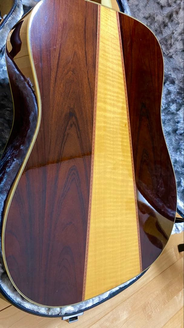 Morris アコースティックギター TF50スプルース単板ハカランダHC付