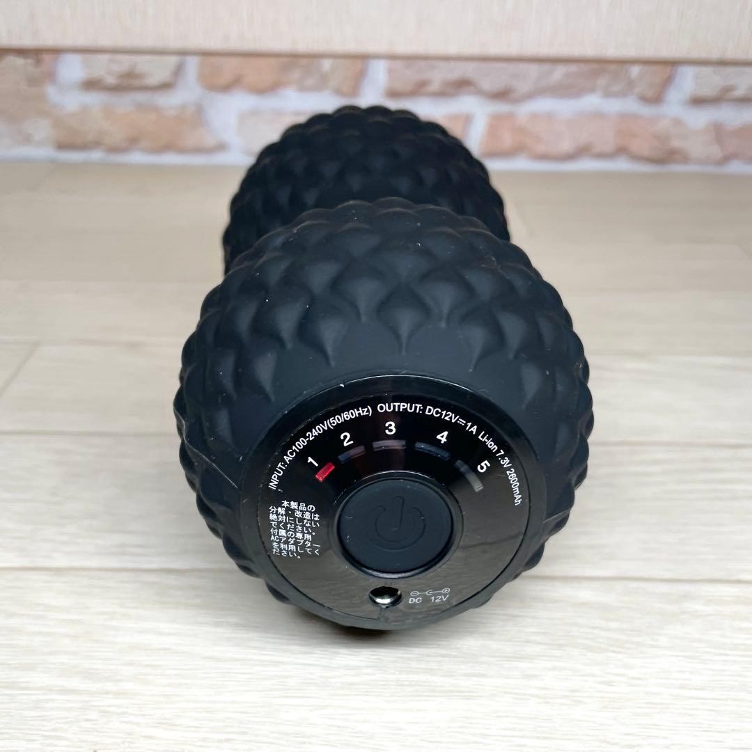 東急スポーツ オアシス フィットネス シェイプツインボール STB-100