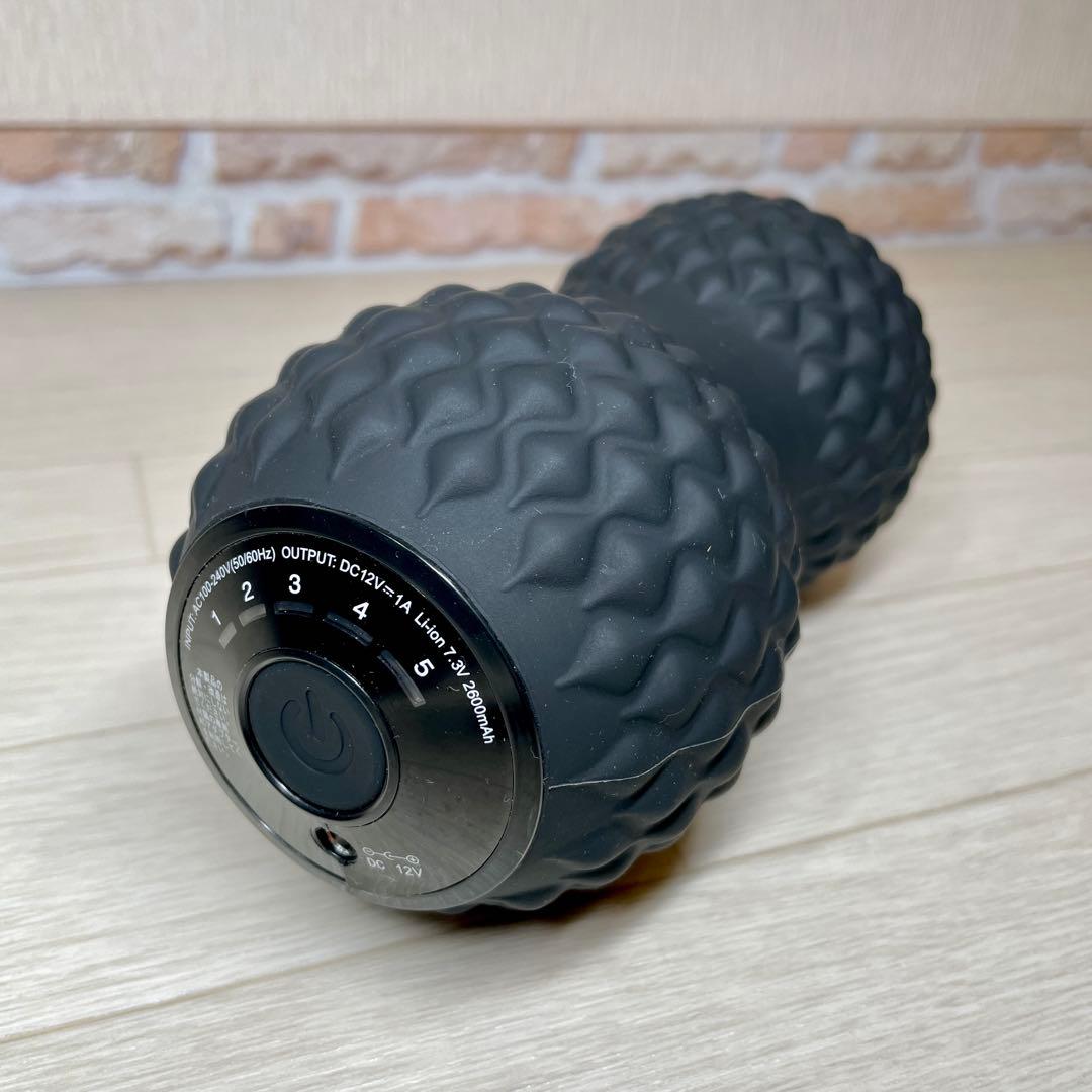 東急スポーツ オアシス フィットネス シェイプツインボール STB-100