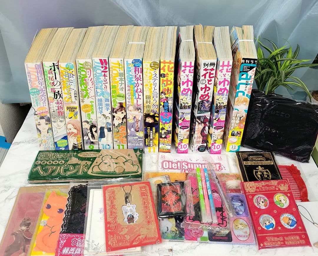 少女　漫画　雑誌　コミック　月刊フラワーズ　花とゆめ　月刊ララ　付録多数おまとめ