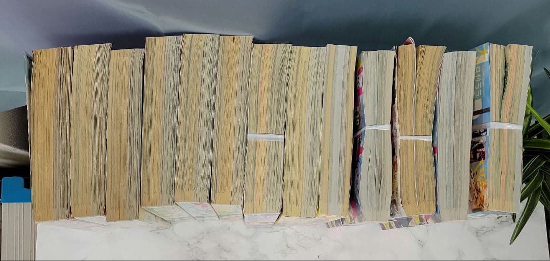 少女　漫画　雑誌　コミック　月刊フラワーズ　花とゆめ　月刊ララ　付録多数おまとめ