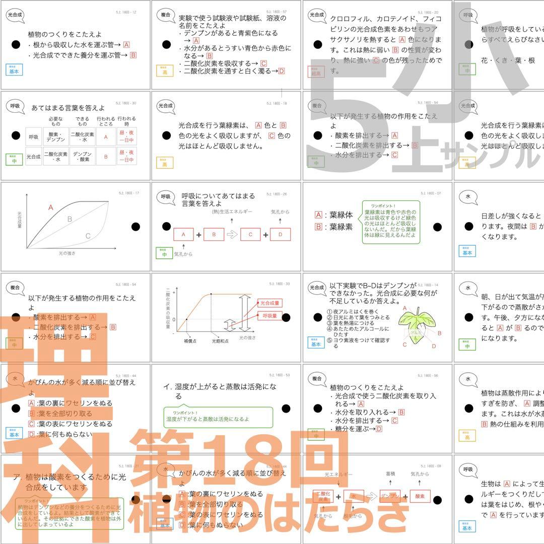 中学受験 暗記カード【5年上 社会・理科16-19回】予習シリーズ 組み分け対策