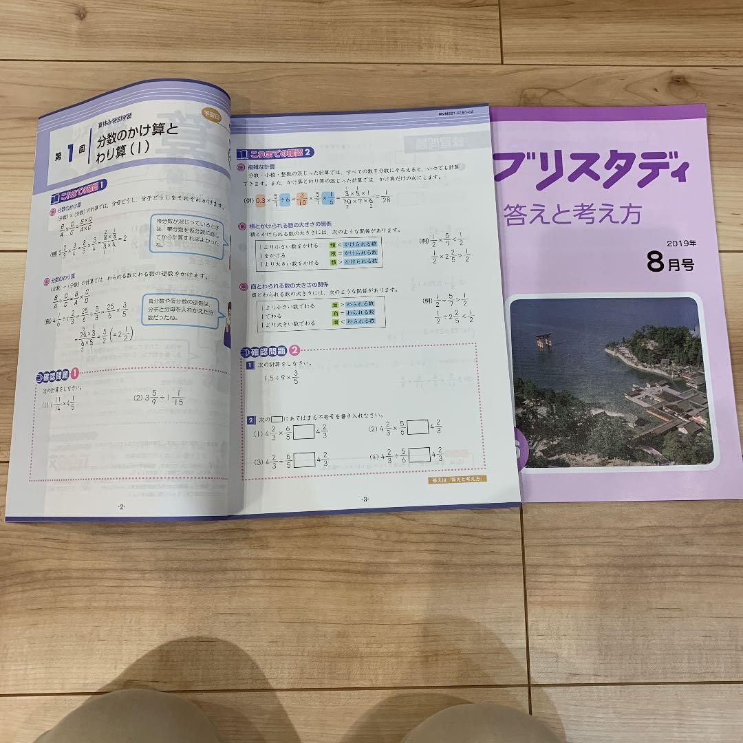 Z会2019年度小６国語・算数・理科・社会６月〜２月、添削問題４月〜2月、他